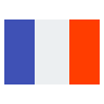 Switch language Icon
